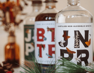 <div><span face="arial, sans-serif" color="#0000ff" style="color: #0000ff; font-family: arial, sans-serif;"><b>3 recettes de cocktails sans alcool pour les fêtes de Noël</b></span></div> <div></div>