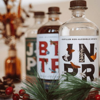 <div><span face="arial, sans-serif" color="#0000ff" style="color: #0000ff; font-family: arial, sans-serif;"><b>3 recettes de cocktails sans alcool pour les fêtes de Noël</b></span></div> <div></div>