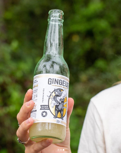 2 bottiglie di Ginger Beer senza zucchero con difetto